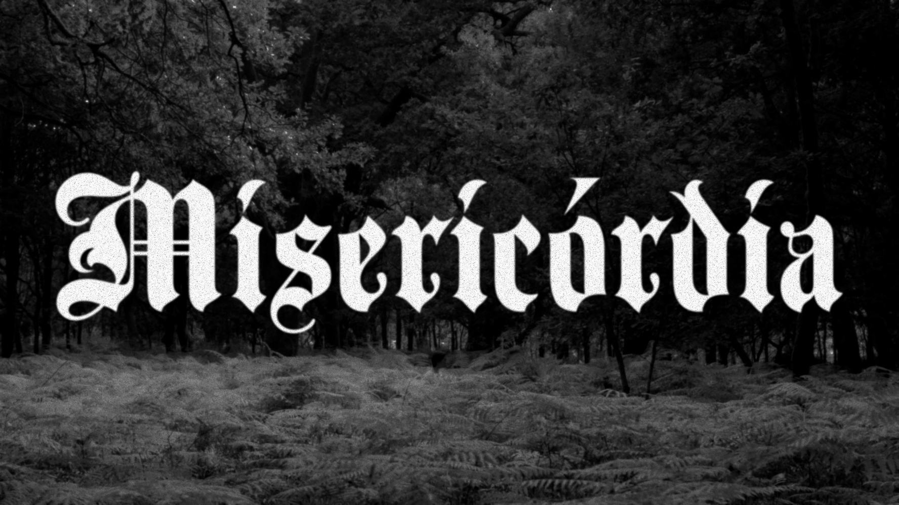 'Misericórdia' de Gonçalo Loureiro